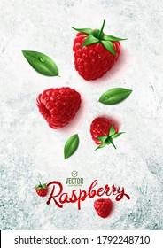 Vector realistic raspberry illustration on white stone background