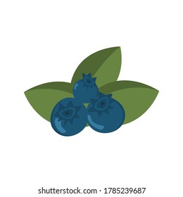 Vektorrealistische Roh-Blaubeere mit grünen Blättern.  Bio-fressende Reifenrübe