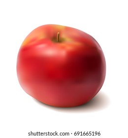 Vector realistic red apple isolated on white background