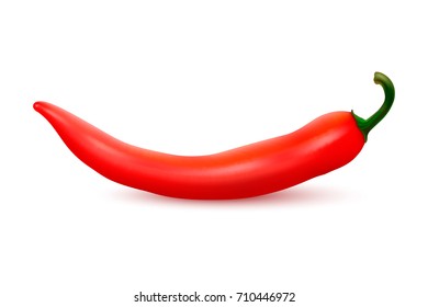 Vector realistic red hot natural chili pepper. Design template or clipart for culinary backgrounds - products, spice package, recipes, web, app decorations, cooking books, etc.