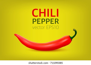 Vector realistic red hot natural chili pepper. Design template or clipart for culinary backgrounds - products, spice package, recipes, web, app decorations, cooking books, etc.