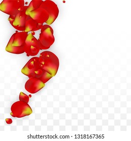 Vector Realistic Red Rose Petals Falling on Transparent Background.  Romantic Flowers Illustration. Flying Petals. Sakura Spa Design. Blossom Rose Confetti. Design Elements for  Wedding Decoration.