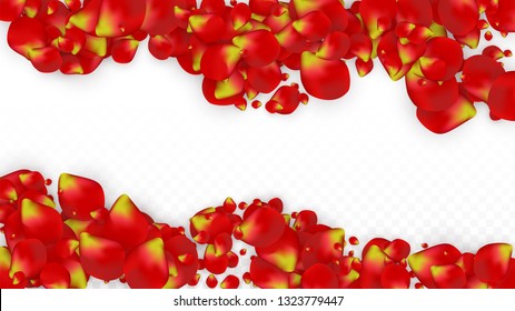 Vector Realistic Red Rose Petals Falling on Transparent Background.  Romantic Flowers Illustration. Flying Petals. Sakura Spa Design. Blossom Rose Confetti. Design Elements for  Web Design.