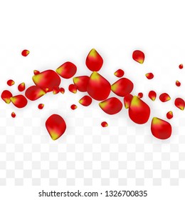 Vector Realistic Red Rose Petals Falling on Transparent Background.  Romantic Flowers Illustration. Flying Petals. Sakura Spa Design. Blossom Rose Confetti. Design Elements for  Banner Design.