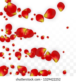 Vector Realistic Red Rose Petals Falling on Transparent Background.  Romantic Flowers Illustration. Flying Petals. Sakura Spa Design. Blossom Rose Confetti. Design Elements for  Web Design.