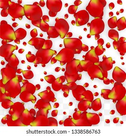 Vector Realistic Red Rose Petals Falling on Transparent Background.  Romantic Flowers Illustration. Flying Petals. Sakura Spa Design. Blossom Rose Confetti. Design Elements for  Wedding Decoration.