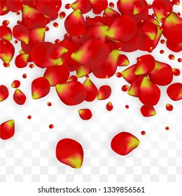 Vector Realistic Red Rose Petals Falling on Transparent Background.  Romantic Flowers Illustration. Flying Petals. Sakura Spa Design. Blossom Rose Confetti. Design Elements for  St. Valentine Day.