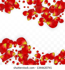 Vector Realistic Red Rose Petals Falling on Transparent Background.  Romantic Flowers Illustration. Flying Petals. Sakura Spa Design. Blossom Rose Confetti. Design Elements for  8 March Card.
