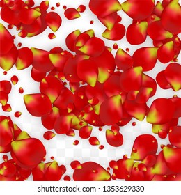 Vector Realistic Red Rose Petals Falling on Transparent Background.  Romantic Flowers Illustration. Flying Petals. Sakura Spa Design. Blossom Rose Confetti. Design Elements for  Mother's Day.