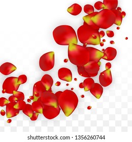 Vector Realistic Red Rose Petals Falling on Transparent Background.  Romantic Flowers Illustration. Flying Petals. Sakura Spa Design. Blossom Rose Confetti. Design Elements for  St. Valentine Day.
