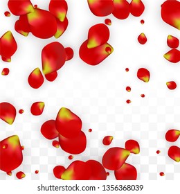 Vector Realistic Red Rose Petals Falling on Transparent Background.  Romantic Flowers Illustration. Flying Petals. Sakura Spa Design. Blossom Rose Confetti. Design Elements for  Web Design.