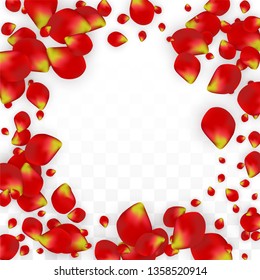 Vector Realistic Red Rose Petals Falling on Transparent Background.  Romantic Flowers Illustration. Flying Petals. Sakura Spa Design. Blossom Rose Confetti. Design Elements for  Mother's Day.