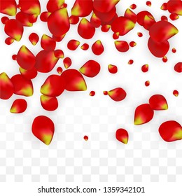 Vector Realistic Red Rose Petals Falling on Transparent Background.  Romantic Flowers Illustration. Flying Petals. Sakura Spa Design. Blossom Rose Confetti. Design Elements for  Cover Design.