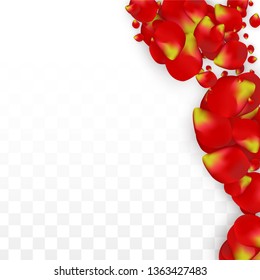 Vector Realistic Red Rose Petals Falling on Transparent Background.  Romantic Flowers Illustration. Flying Petals. Sakura Spa Design. Blossom Rose Confetti. Design Elements for  Web Design.
