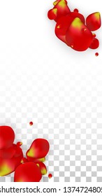 Vector Realistic Red Rose Petals Falling on Transparent Background.  Romantic Flowers Illustration. Flying Petals. Sakura Spa Design. Blossom Rose Confetti. Design Elements for  Cover Design.