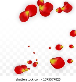 Vector Realistic Red Rose Petals Falling on Transparent Background.  Romantic Flowers Illustration. Flying Petals. Sakura Spa Design. Blossom Rose Confetti. Design Elements for  Web Design.