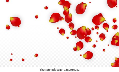 Red White Balloons Confetti Concept Design Stock Vector (Royalty Free ...