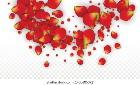 Vector Realistic Red Rose Petals Falling on Transparent Background.  Romantic Flowers Illustration. Flying Petals. Sakura Spa Design. Blossom Rose Confetti. Design Elements for  Banner Design.