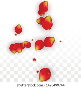 Vector Realistic Red Rose Petals Falling on Transparent Background.  Romantic Flowers Illustration. Flying Petals. Sakura Spa Design. Blossom Rose Confetti. Design Elements for  Poster Design. 