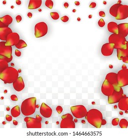 Vector Realistic Red Rose Petals Falling on Transparent Background.  Romantic Flowers Illustration. Flying Petals. Sakura Spa Design. Blossom Rose Confetti. Design Elements for  Poster Design. 