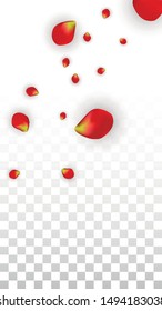 Vector Realistic Red Rose Petals Falling on Transparent Background.  Romantic Flowers Illustration. Flying Petals. Sakura Spa Design. Blossom Rose Confetti. Design Elements for  Wedding Decoration.