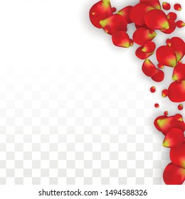 Vector Realistic Red Rose Petals Falling on Transparent Background.  Romantic Flowers Illustration. Flying Petals. Sakura Spa Design. Blossom Rose Confetti. Design Elements for  Banner Design.