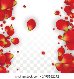 Vector Realistic Red Rose Petals Falling on Transparent Background.  Romantic Flowers Illustration. Flying Petals. Sakura Spa Design. Blossom Rose Confetti. Design Elements for  Web Design.