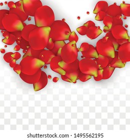 Vector Realistic Red Rose Petals Falling on Transparent Background.  Romantic Flowers Illustration. Flying Petals. Sakura Spa Design. Blossom Rose Confetti. Design Elements for  Poster Design. 