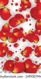 Vector Realistic Red Rose Petals Falling on Transparent Background.  Romantic Flowers Illustration. Flying Petals. Sakura Spa Design. Blossom Rose Confetti. Design Elements for  8 March Card.