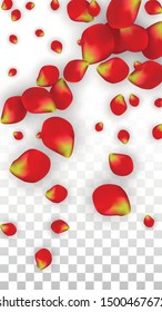Vector Realistic Red Rose Petals Falling on Transparent Background.  Romantic Flowers Illustration. Flying Petals. Sakura Spa Design. Blossom Rose Confetti. Design Elements for  Mother's Day.