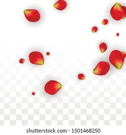 Vector Realistic Red Rose Petals Falling on Transparent Background.  Romantic Flowers Illustration. Flying Petals. Sakura Spa Design. Blossom Rose Confetti. Design Elements for  Mother's Day.