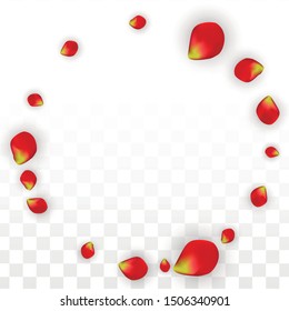 Vector Realistic Red Rose Petals Falling on Transparent Background.  Romantic Flowers Illustration. Flying Petals. Sakura Spa Design. Blossom Rose Confetti. Design Elements for  8 March Card.