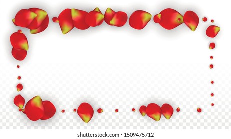 Vector Realistic Red Rose Petals Falling on Transparent Background.  Romantic Flowers Illustration. Flying Petals. Sakura Spa Design. Blossom Rose Confetti. Design Elements for  Web Design.