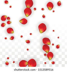 Vector Realistic Red Rose Petals Falling on Transparent Background.  Romantic Flowers Illustration. Flying Petals. Sakura Spa Design. Blossom Rose Confetti. Design Elements for  Banner Design.