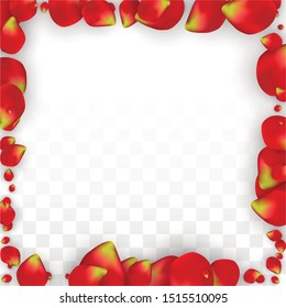 Vector Realistic Red Rose Petals Falling on Transparent Background.  Romantic Flowers Illustration. Flying Petals. Sakura Spa Design. Blossom Rose Confetti. Design Elements for  Mother's Day.