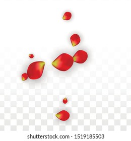 Vector Realistic Red Rose Petals Falling on Transparent Background.  Romantic Flowers Illustration. Flying Petals. Sakura Spa Design. Blossom Rose Confetti. Design Elements for  Cover Design.