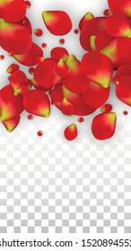 Vector Realistic Red Rose Petals Falling on Transparent Background.  Romantic Flowers Illustration. Flying Petals. Sakura Spa Design. Blossom Rose Confetti. Design Elements for  Cover Design.