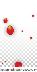 Vector Realistic Red Rose Petals Falling on Transparent Background.  Romantic Flowers Illustration. Flying Petals. Sakura Spa Design. Blossom Rose Confetti. Design Elements for  8 March Card.