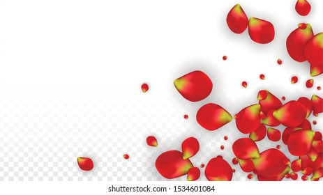 Vector Realistic Red Rose Petals Falling on Transparent Background.  Romantic Flowers Illustration. Flying Petals. Sakura Spa Design. Blossom Rose Confetti. Design Elements for  Mother's Day.