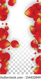 Vector Realistic Red Rose Petals Falling on Transparent Background.  Romantic Flowers Illustration. Flying Petals. Sakura Spa Design. Blossom Rose Confetti. Design Elements for  Web Design.