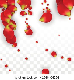 Vector Realistic Red Rose Petals Falling on Transparent Background.  Romantic Flowers Illustration. Flying Petals. Sakura Spa Design. Blossom Rose Confetti. Design Elements for  Wedding Decoration.