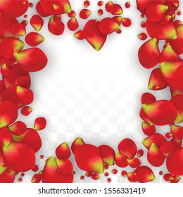 Vector Realistic Red Rose Petals Falling on Transparent Background.  Romantic Flowers Illustration. Flying Petals. Sakura Spa Design. Blossom Rose Confetti. Design Elements for  Wedding Decoration.