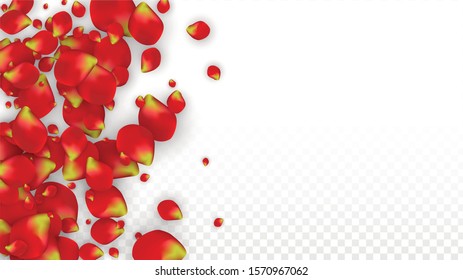Vector Realistic Red Rose Petals Falling on Transparent Background.  Romantic Flowers Illustration. Flying Petals. Sakura Spa Design. Blossom Rose Confetti. Design Elements for  Poster Design. 