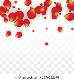 Vector Realistic Red Rose Petals Falling on Transparent Background.  Romantic Flowers Illustration. Flying Petals. Sakura Spa Design. Blossom Rose Confetti. Design Elements for  Poster Design. 