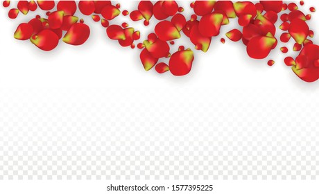Vector Realistic Red Rose Petals Falling on Transparent Background.  Romantic Flowers Illustration. Flying Petals. Sakura Spa Design. Blossom Rose Confetti. Design Elements for  Mother's Day.