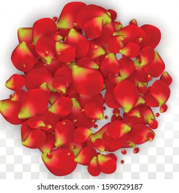 Vector Realistic Red Rose Petals Falling on Transparent Background.  Romantic Flowers Illustration. Flying Petals. Sakura Spa Design. Blossom Rose Confetti. Design Elements for  Mother's Day.