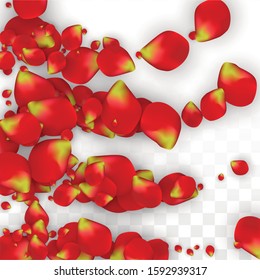 Vector Realistic Red Rose Petals Falling Stock Vector (Royalty Free ...