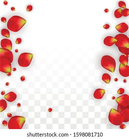 Vector Realistic Red Rose Petals Falling on Transparent Background.  Romantic Flowers Illustration. Flying Petals. Sakura Spa Design. Blossom Rose Confetti. Design Elements for  Cover Design.