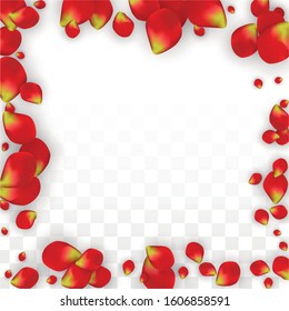 Vector Realistic Red Rose Petals Falling on Transparent Background.  Romantic Flowers Illustration. Flying Petals. Sakura Spa Design. Blossom Rose Confetti. Design Elements for  Cover Design.