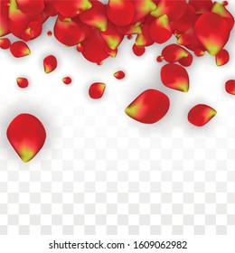 Vector Realistic Red Rose Petals Falling on Transparent Background.  Romantic Flowers Illustration. Flying Petals. Sakura Spa Design. Blossom Rose Confetti. Design Elements for  Cover Design.